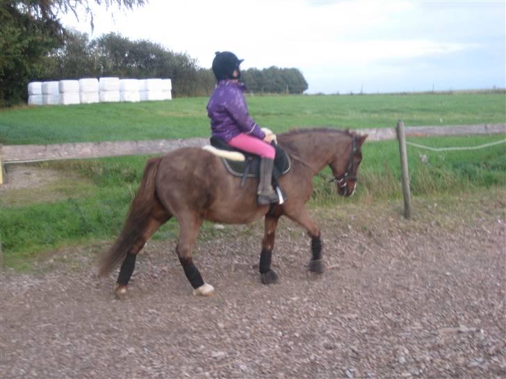 Pige Cecilie - Cecilie og Molly billede 11