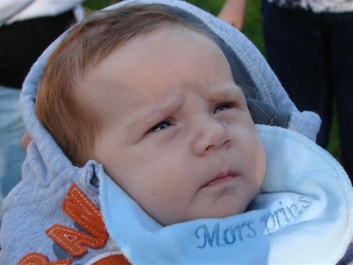 Dreng jamie strøh petersen billede 12