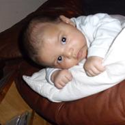 Dreng Marcus Joshua Jon Thomsen