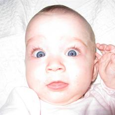 Pige Merle (tvilling)