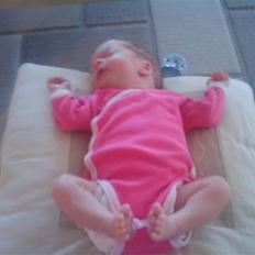 Pige Merle (tvilling)