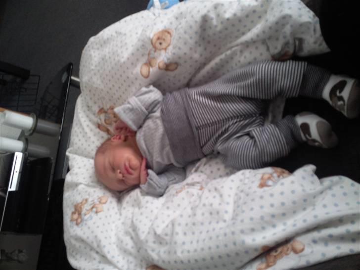 Dreng Bastian billede 1