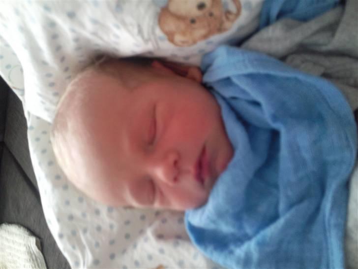 Dreng Bastian billede 2