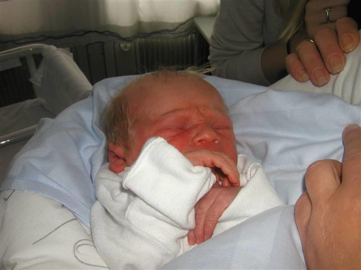 Dreng Bastian billede 5