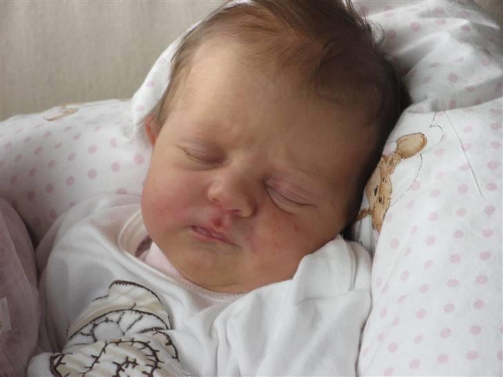 Pige Cecilie billede 3