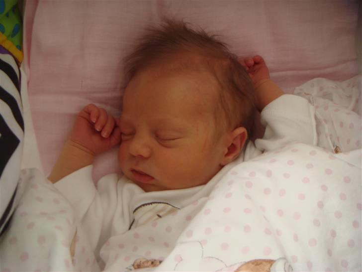Pige Cecilie billede 4