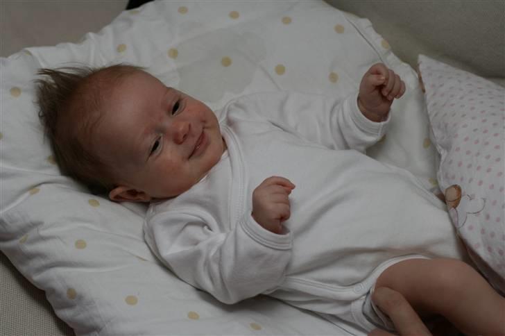 Pige Cecilie billede 6