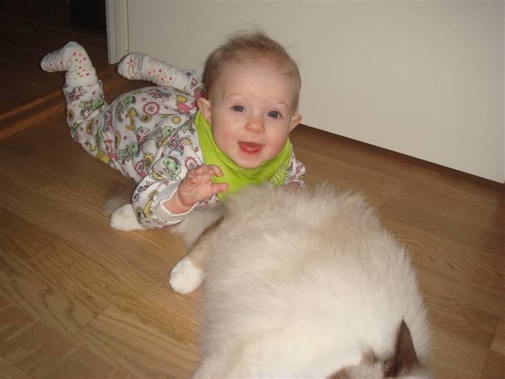 Pige Cecilie billede 10