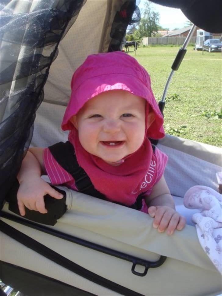 Pige Cecilie billede 11