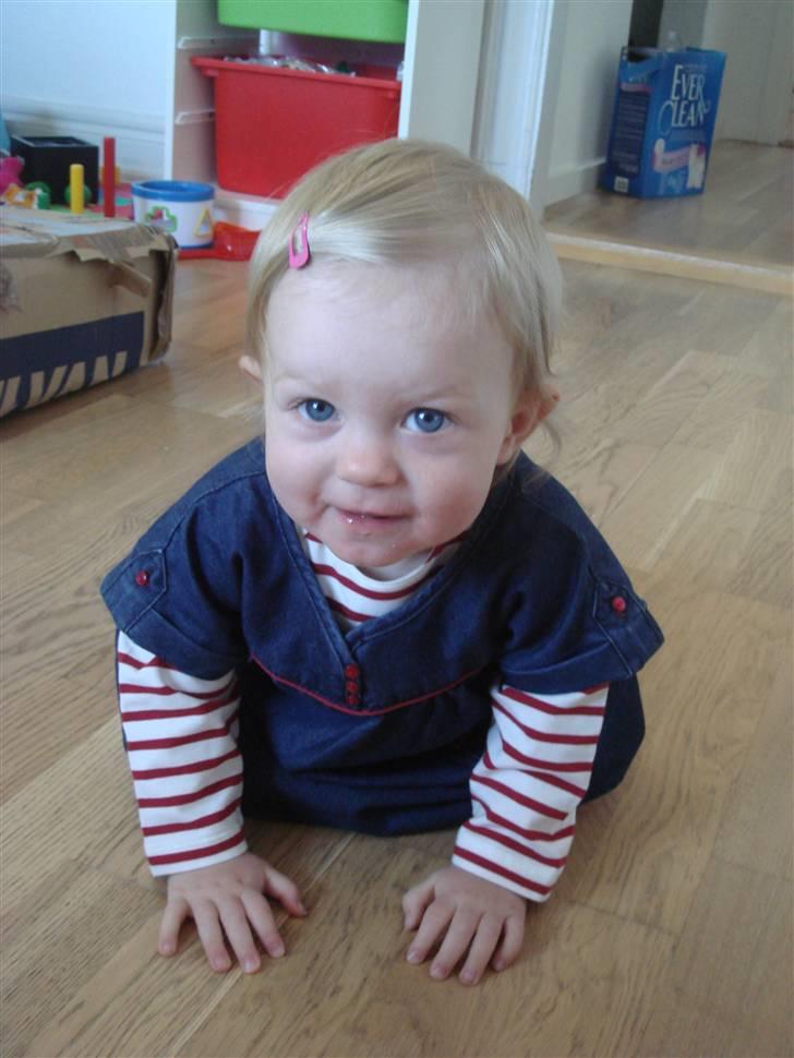 Pige Cecilie billede 16