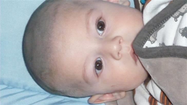 Dreng Mikail Ilhan Ataman billede 8