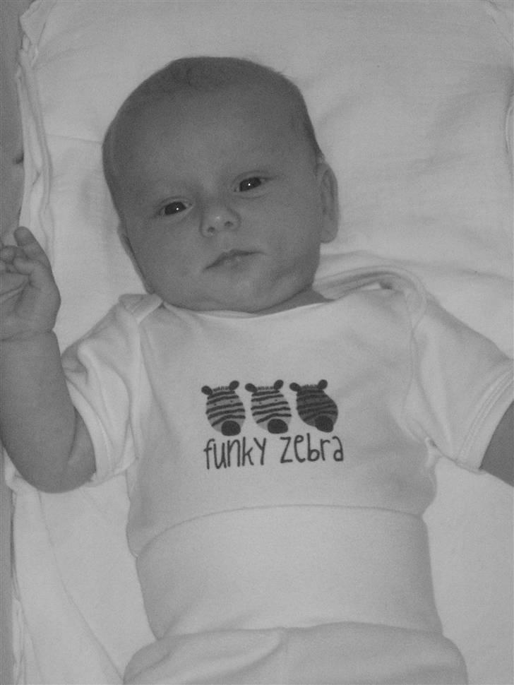 Pige Cecilie Lilje - Min smukke prinsesse <3 billede 4