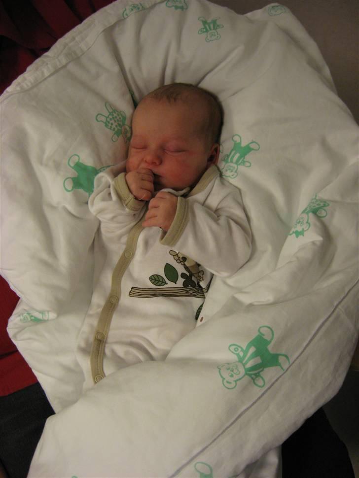 Pige Cecilie Lilje - 2 dage gammel.. billede 5