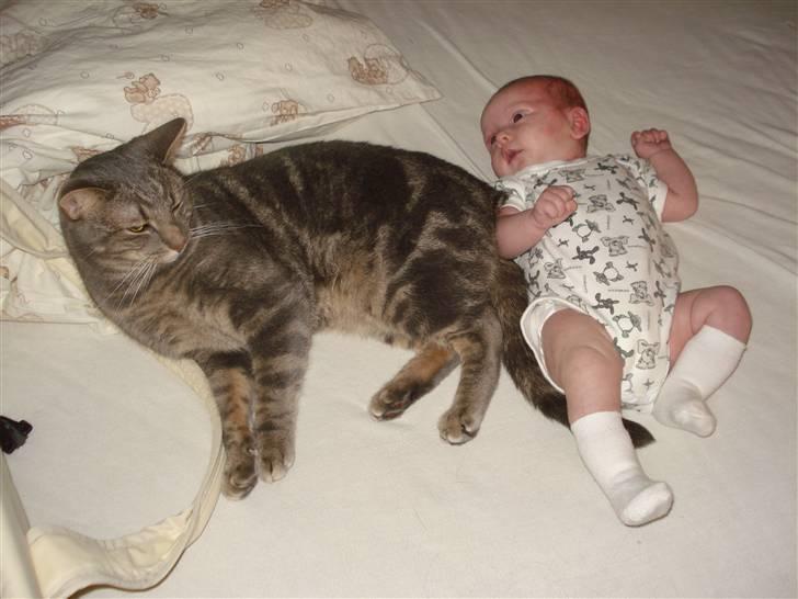 Pige Cecilie Lilje - Putter lige lidt med katten.. billede 6