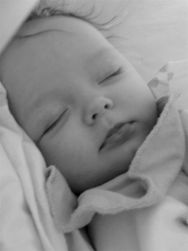 Pige Julie Kathrine billede 8