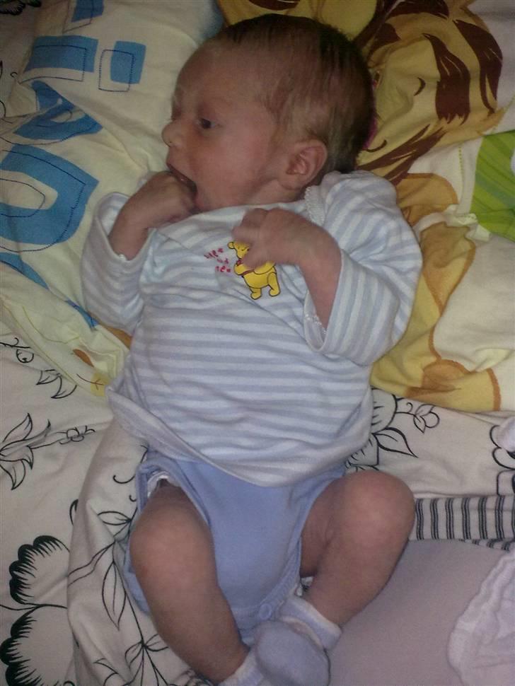 Dreng Danny Nima billede 4