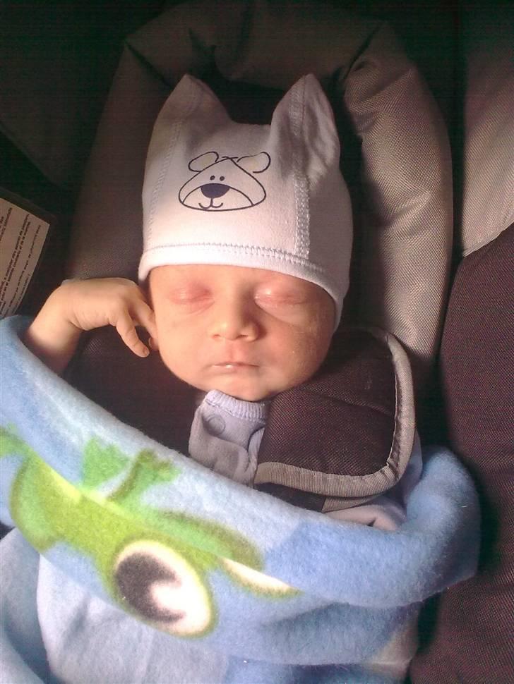 Dreng Danny Nima billede 5