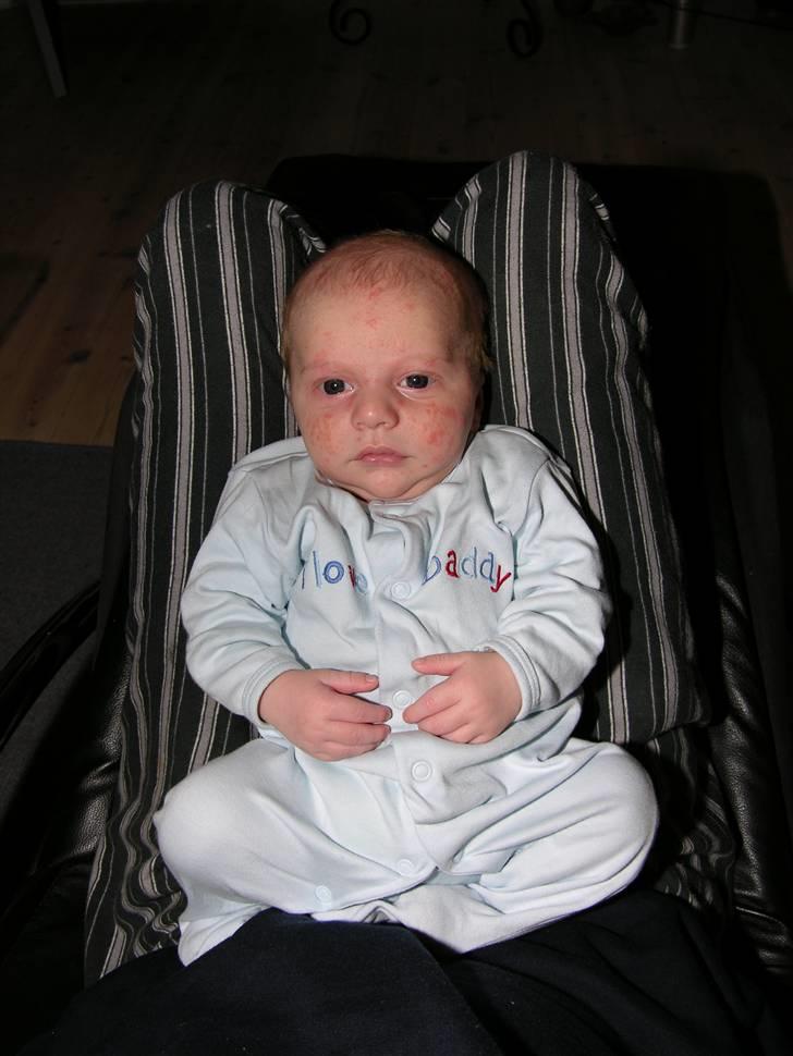 Dreng Adam billede 1