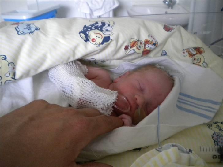 Dreng Magnus  - ca en halv time gammel billede 1