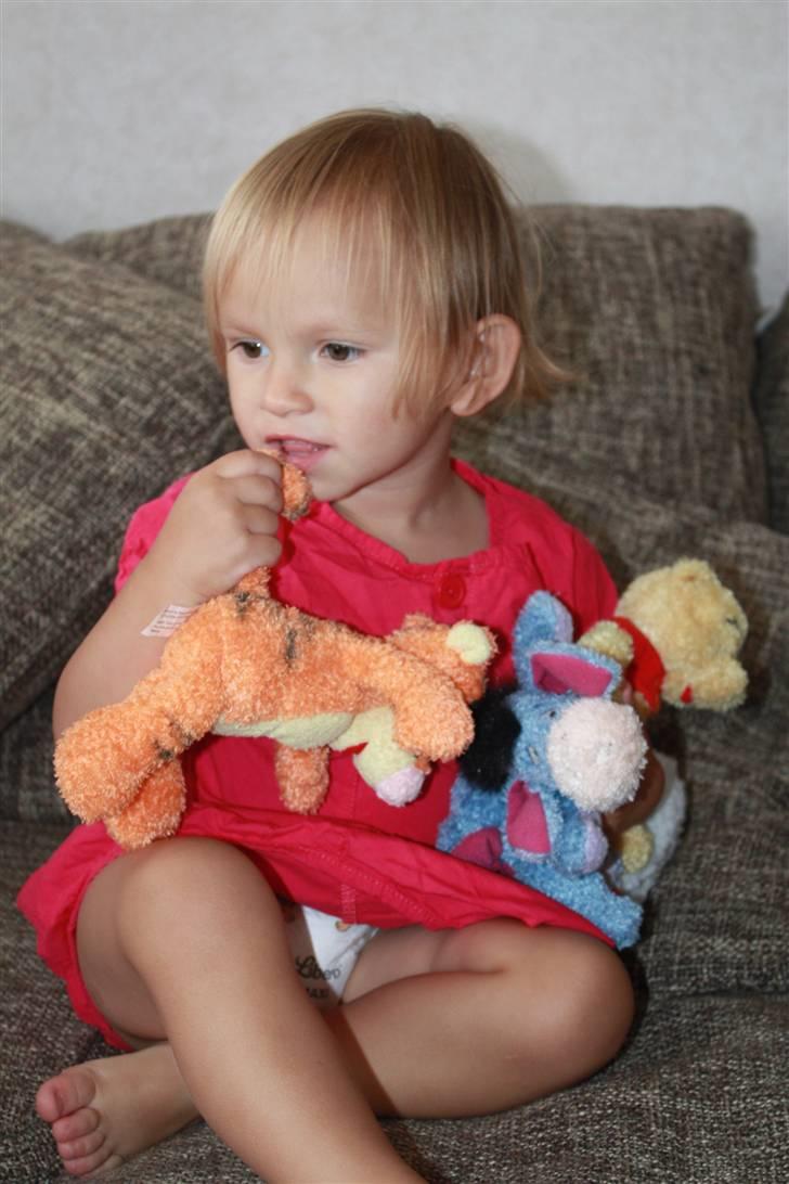 Pige Sarah billede 2