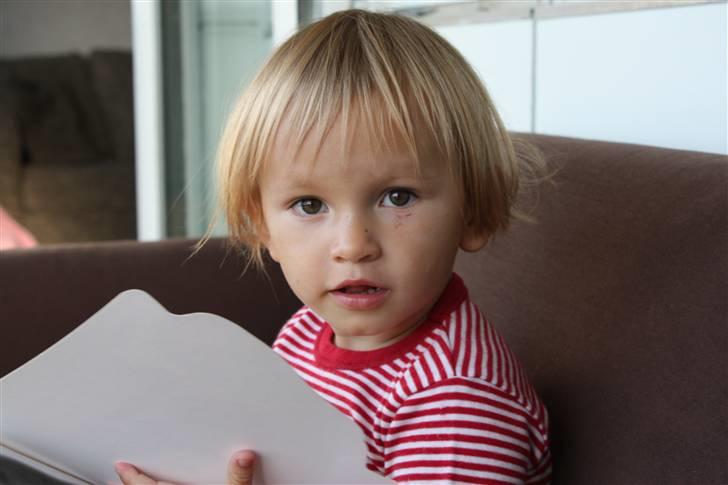 Pige Sarah billede 3