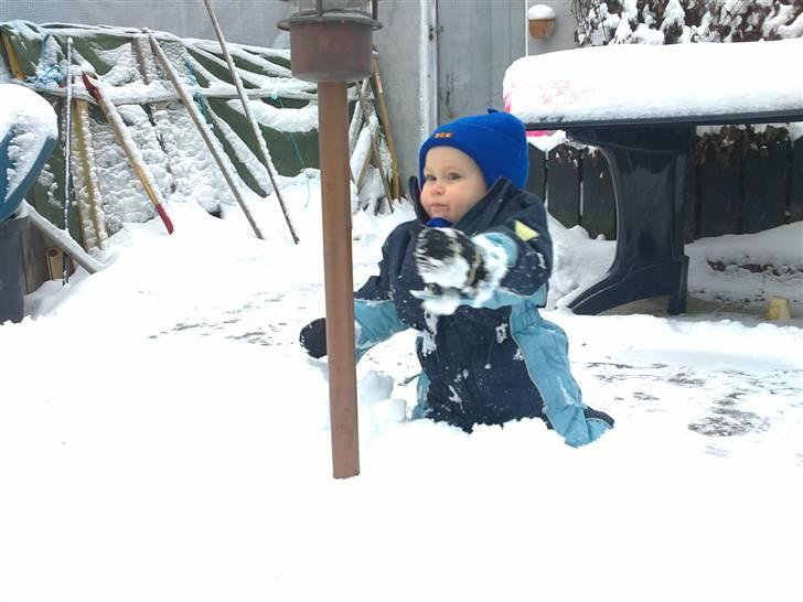 Dreng Joah T. Hald billede 2