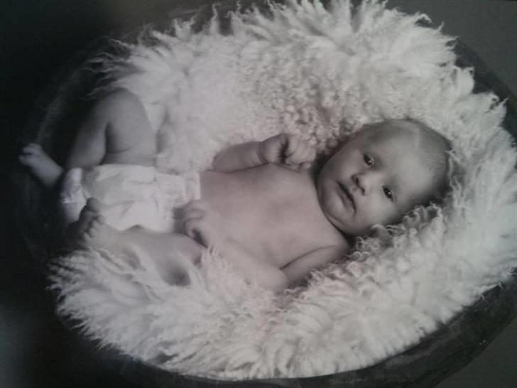 Pige Thilde billede 2