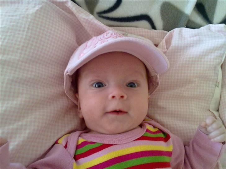 Pige Merle (tvilling) - Kasket-karla billede 2