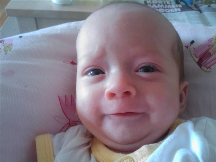 Pige Merle (tvilling) - hø hø hø hø billede 4