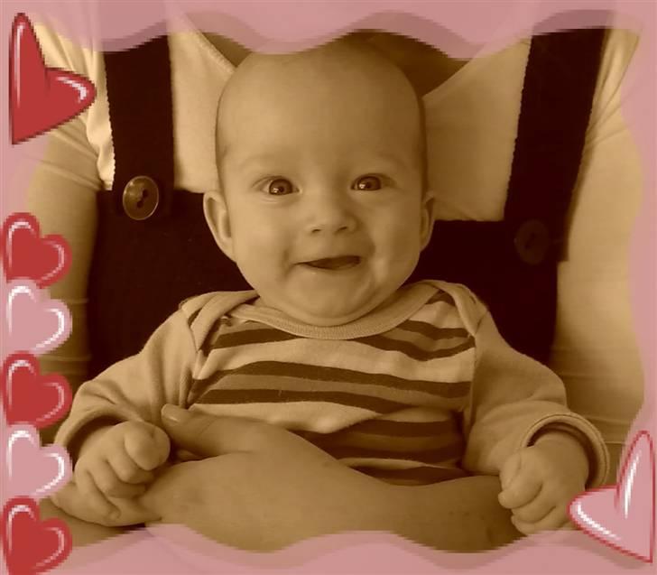 Pige Merle (tvilling) billede 7