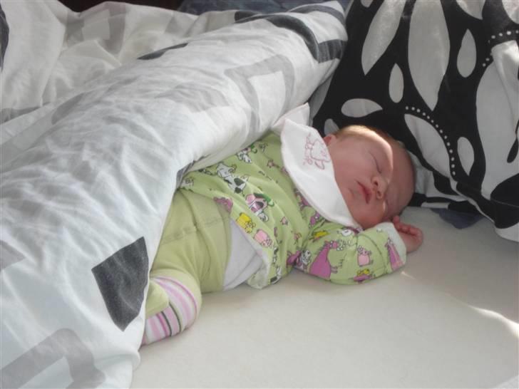 Pige Camilla billede 7