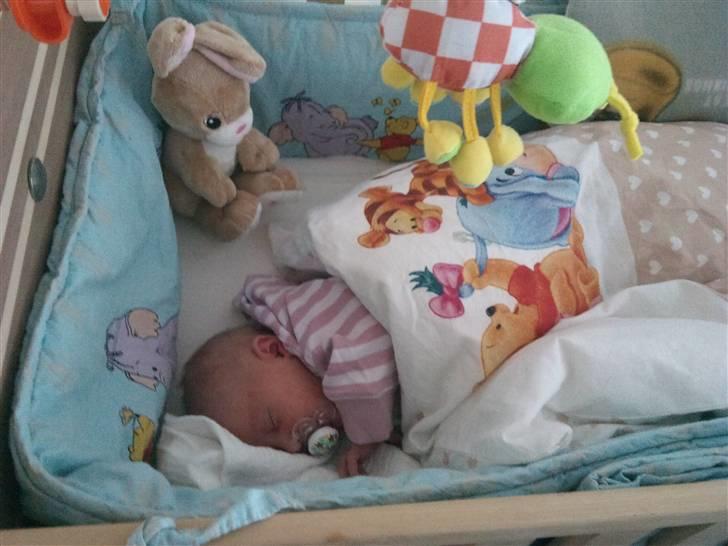 Pige Thilde billede 3