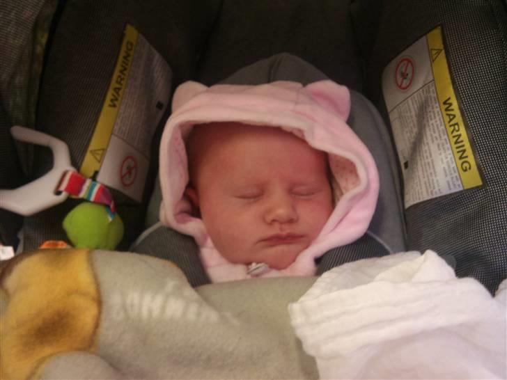 Pige Thilde billede 4