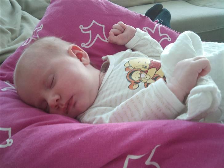 Pige Thilde billede 5