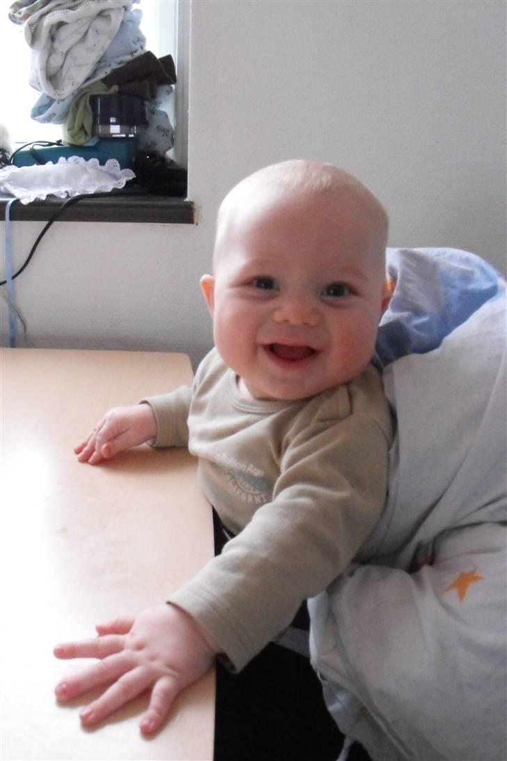 Dreng Milas billede 1