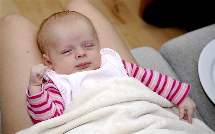 Pige Phoebe billede 3