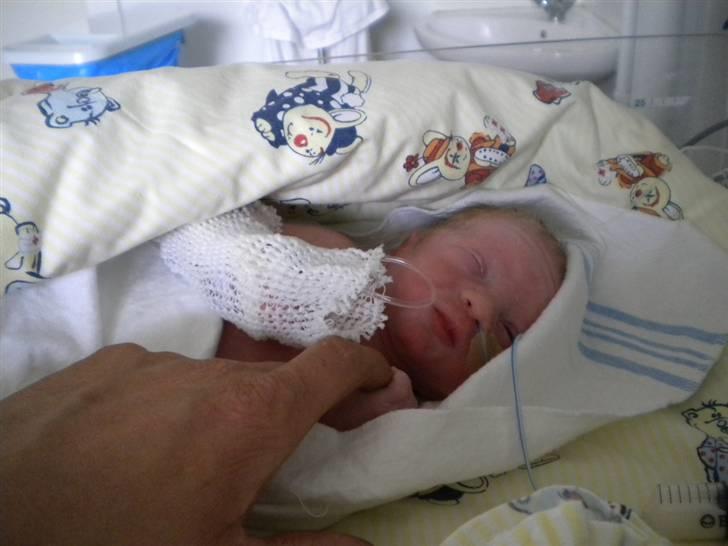 Dreng Magnus  - ca en halv time gammel billede 2