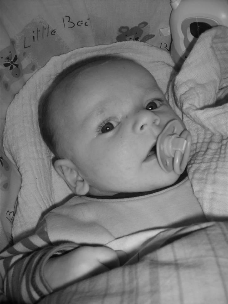 Dreng Silas billede 10