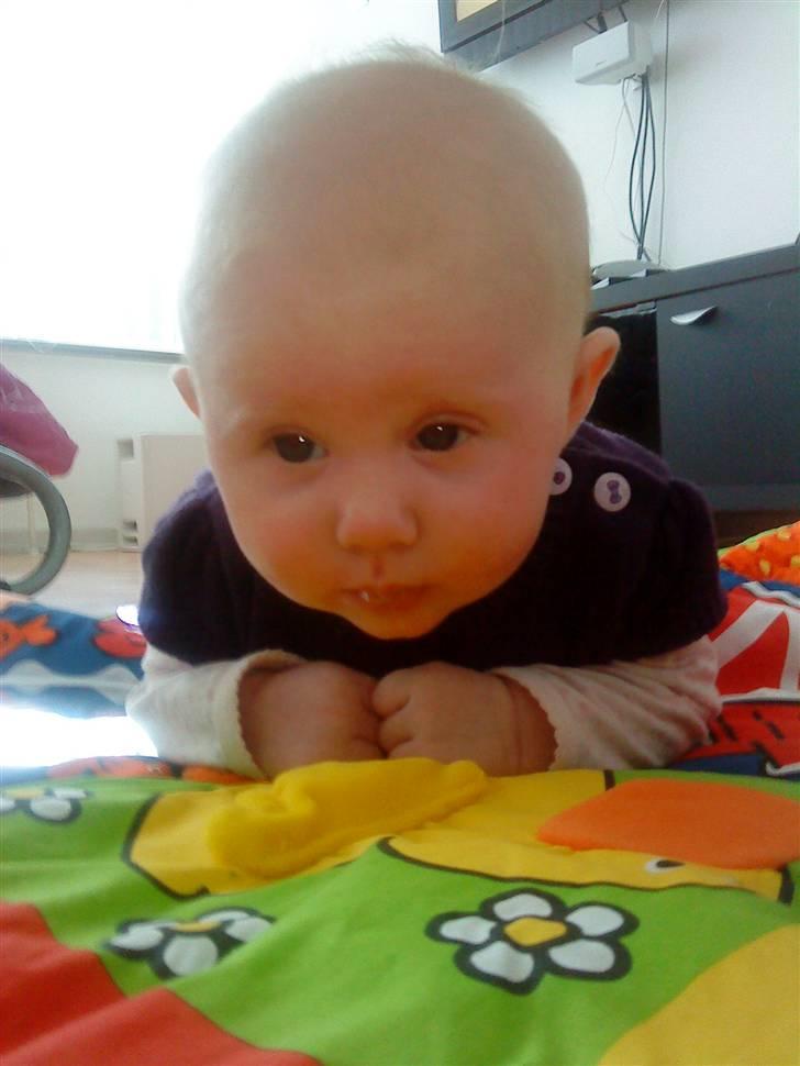 Pige Thilde billede 6