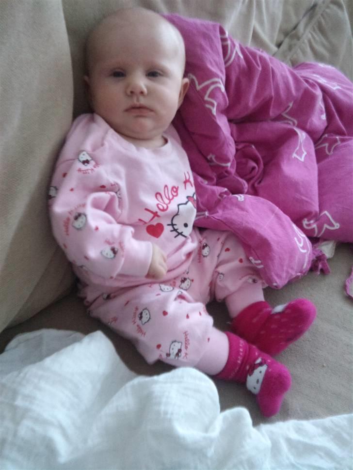 Pige Thilde billede 7