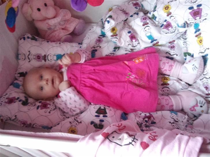 Pige Thilde billede 8