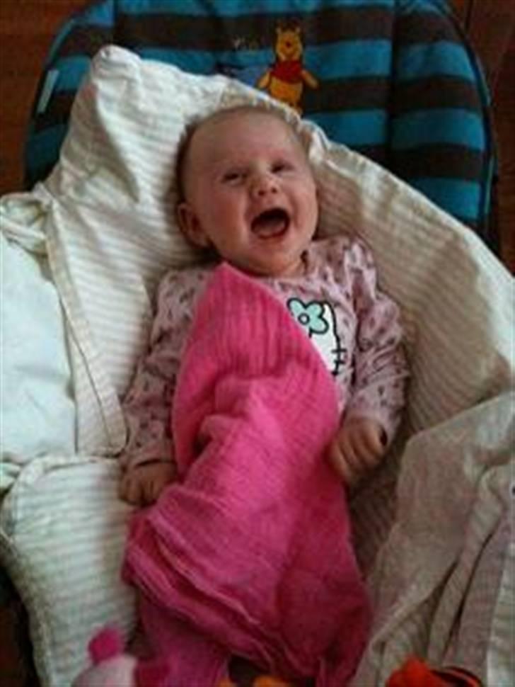 Pige Thilde billede 9