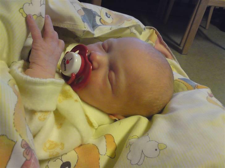 Pige olivia billede 2