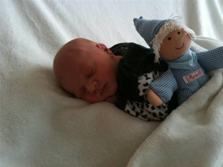 Dreng Oliver billede 2