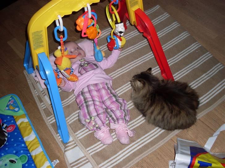 Pige Caroline ( tvilling) - Caroline leger og katten bertha holder vagt. billede 5