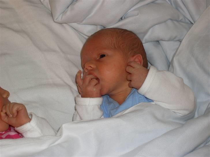 Dreng Tobias ( tvilling) - fri for sonden billede 4