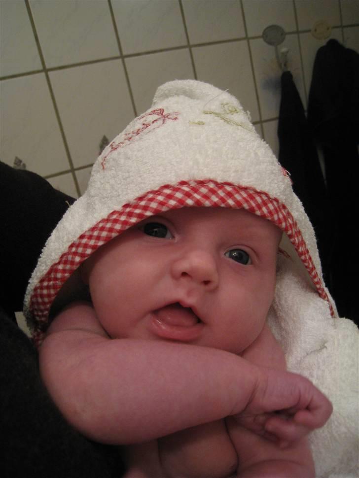 Pige Isabella Dagny - Charmer da lige lidt.. :0) billede 6
