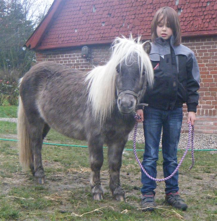 Pige Cecilie - Cecilie og Silver billede 14