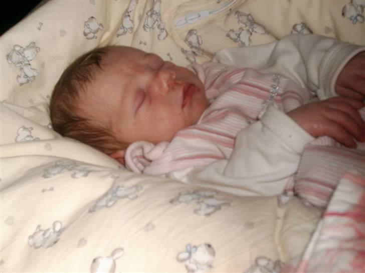 Pige Clara billede 15