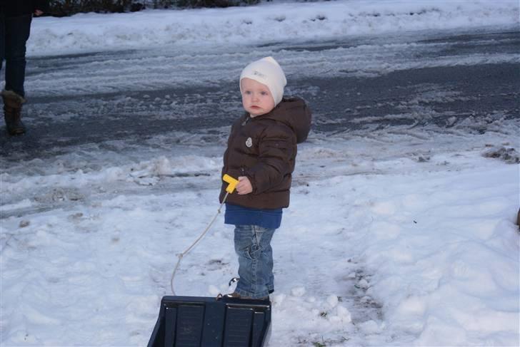 Dreng Rasmus - Rasmus i sneen januar 2010 billede 2